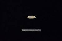 陶環藏品圖，第2張